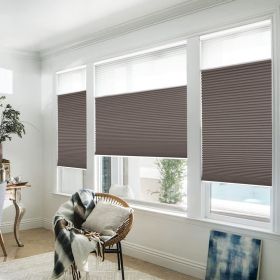 WELLSOURCE Manual Cordless Day and Night Cellular Shades Non Blackout Light Filtering Honeycomb Fabric for Home, Office, Hotel, Club (Color: Brown, size: Custom Size)